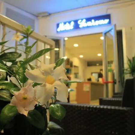 Sanremo Hotell Rimini